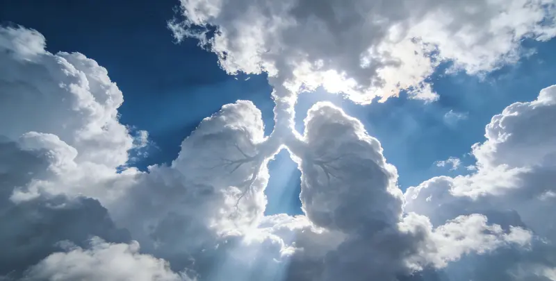 深圳肺癌12基因ctDNA突变检测(血液）图片1