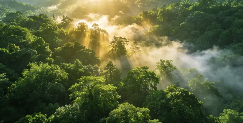 深圳肺癌甲基化检测图片1