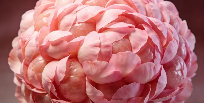 深圳BRCA1/2乳腺癌卵巢癌基因检测图片1