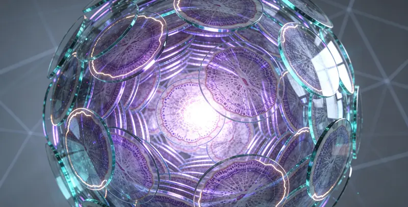 MSI肿瘤微卫星变异的检测（组织）图4